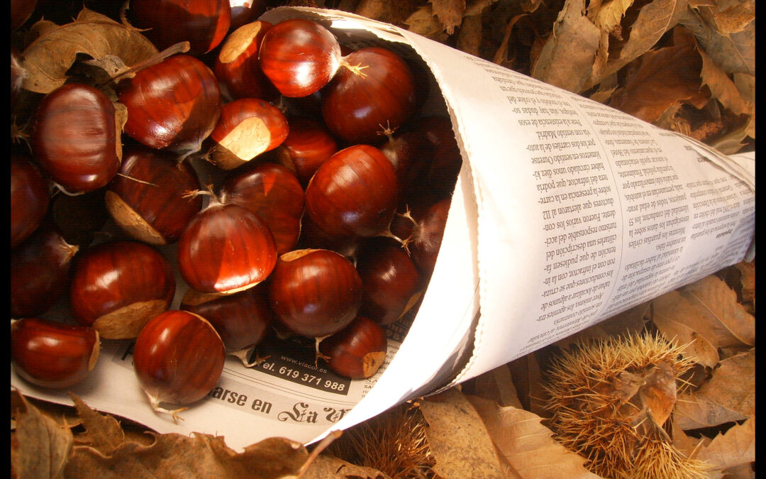 The smell of chestnuts permeates Malaga, with the arrival of autumn